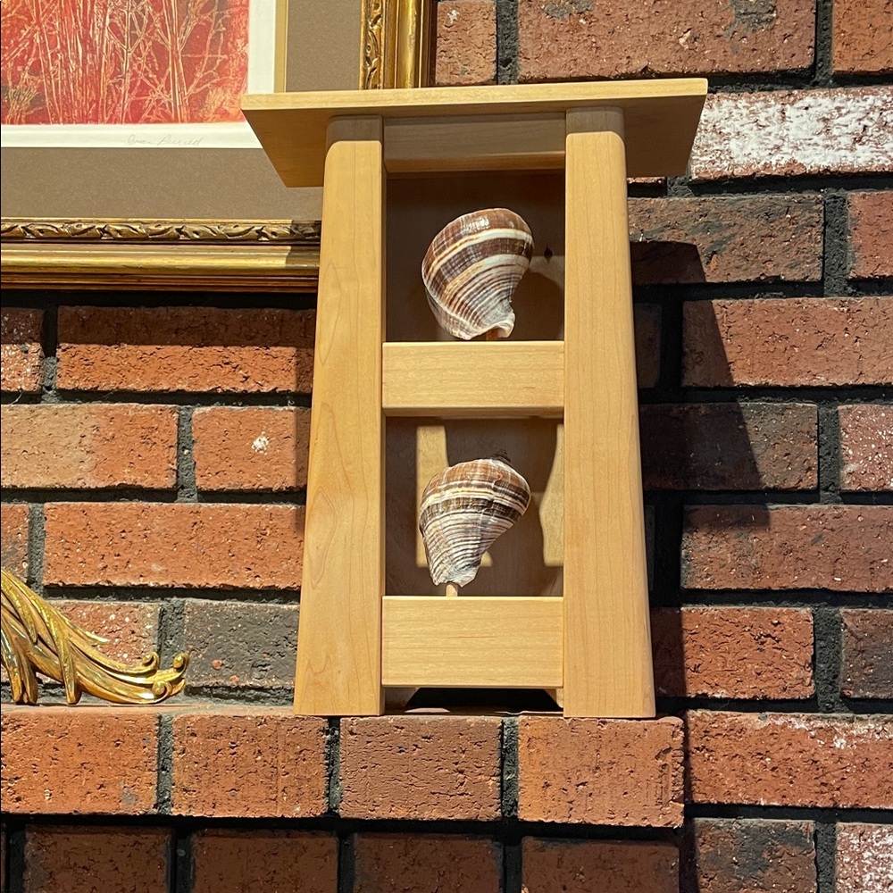 Natural Wood Shell Display Wall Decor